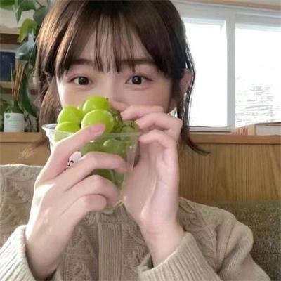 鬣狗之城