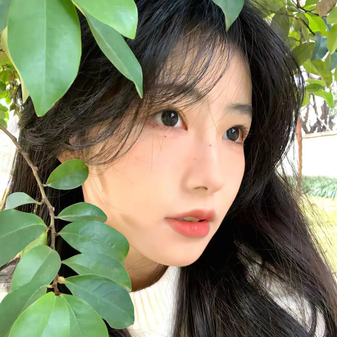 名校风暴第五季